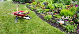 Serviço Completo de Jardinagem